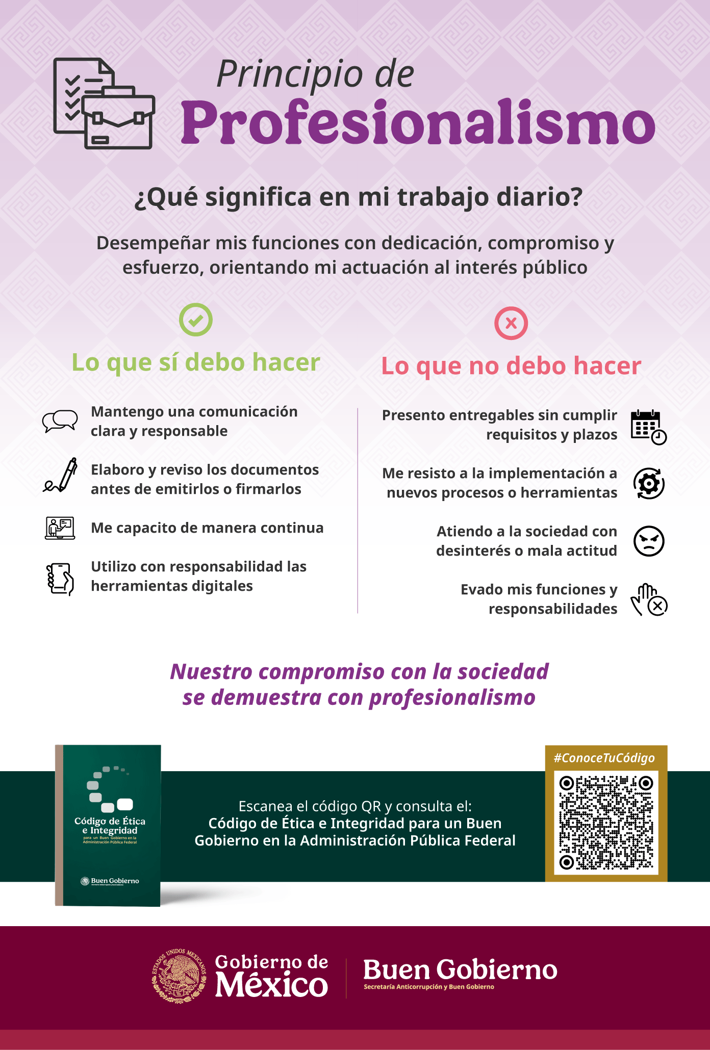 C12-2026 Principio de Profesionalismo